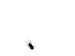 fin